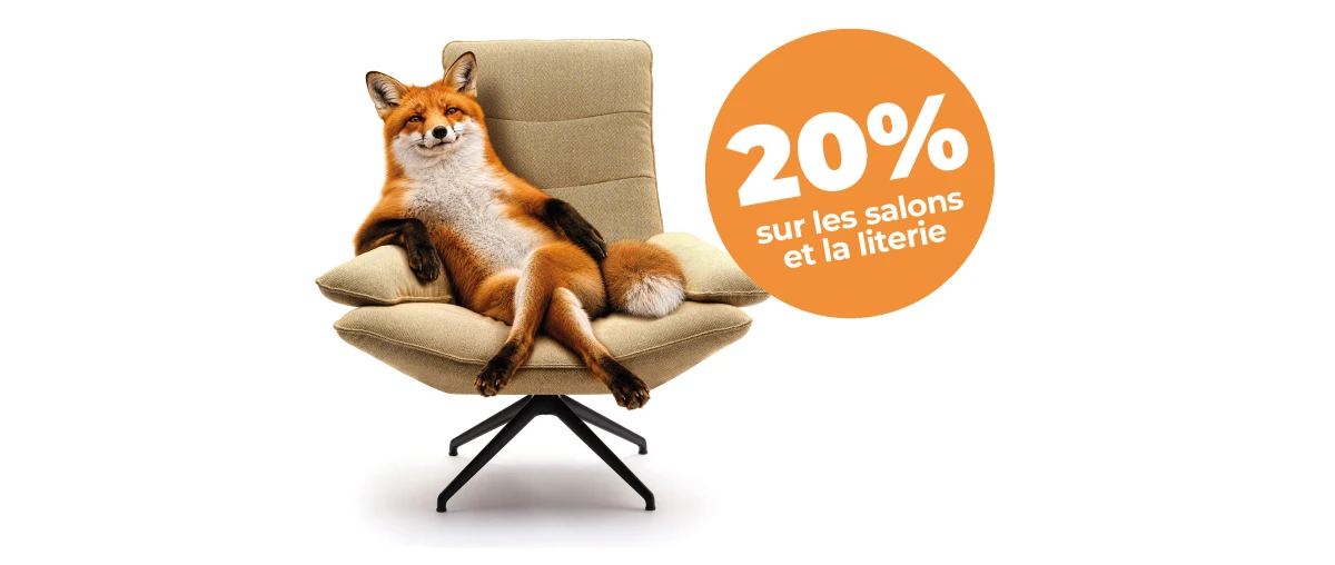 Soyez rusé, pas dépensier