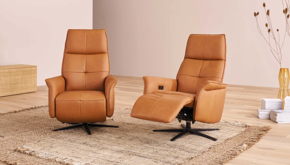 Fauteuil relax 9361
