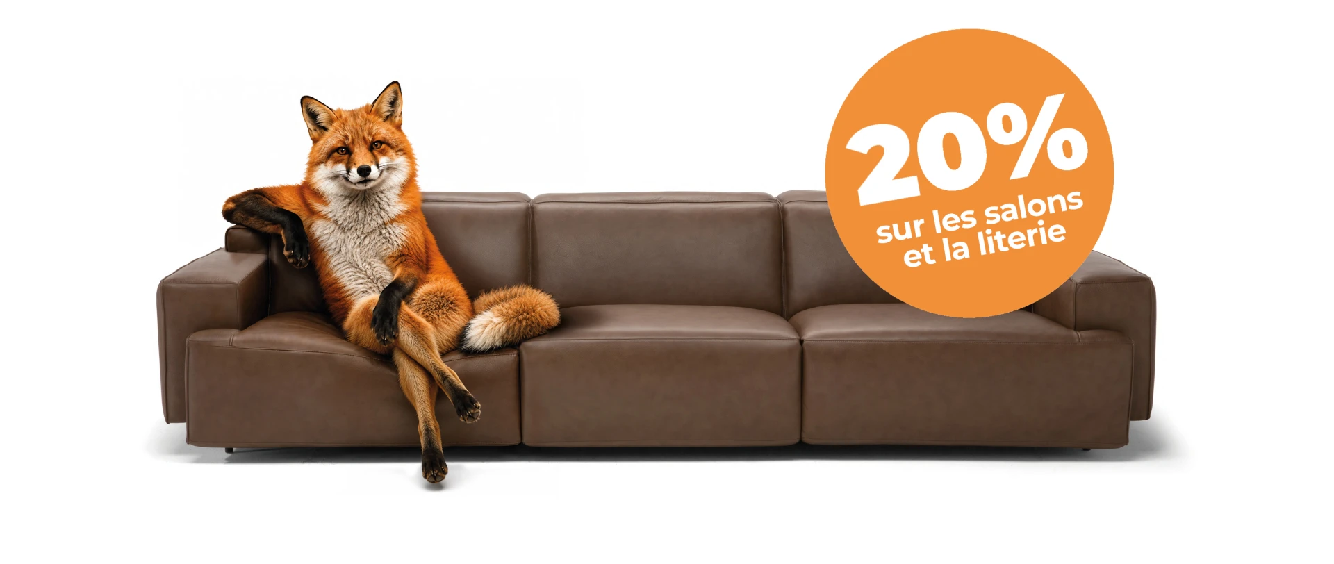 Soyer rusé, pas dépensier